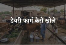 dairy farm kaise khole