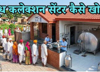 दूध डेयरी कलेक्शन सेंटर कैसे खोले? कम बजट में शुरू करें खुद क बिज़नस milk collection center kaise khole
